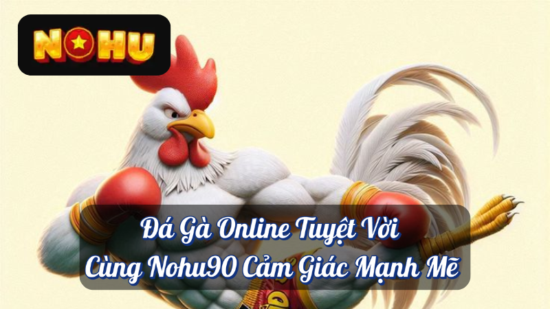 Đá Gà Online Tuyệt Vời Cùng Nohu90 - Cảm Giác Mạnh Mẽ