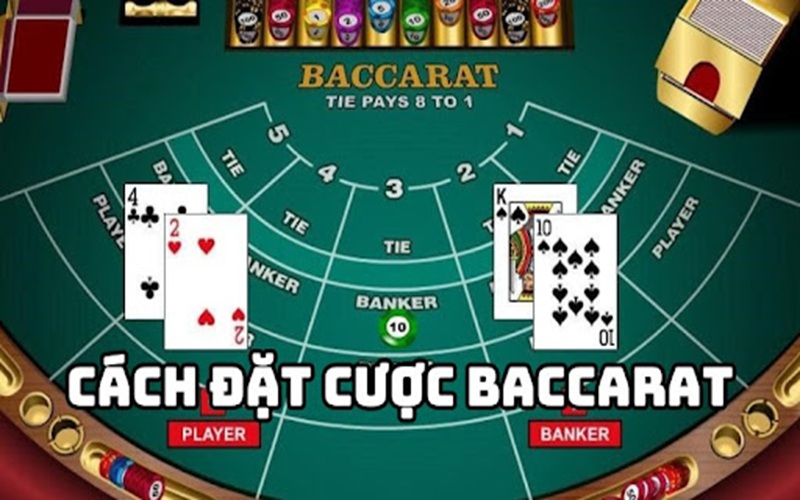 Mẹo chơi Baccarat giúp bạn nâng cao tỷ lệ thắng tại BigBoss 3 Cách đặt cược Baccarat